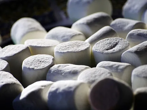 Plain white marshmallows before freeze-drying