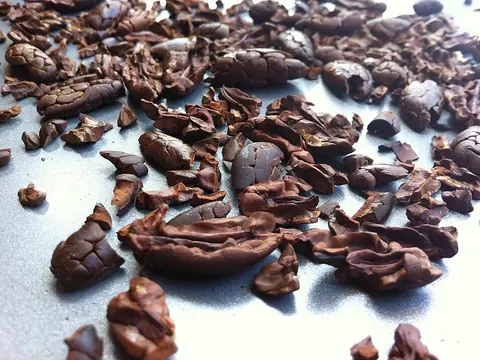 Uncoated roasted cacao nibs