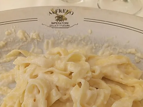 Fettuccine coated in Alfredo sauce