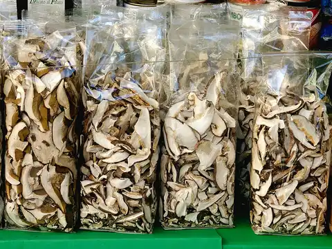 Dried porcini mushroom slices