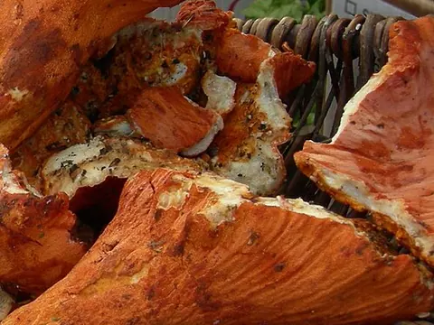 Fresh lobster mushrooms
