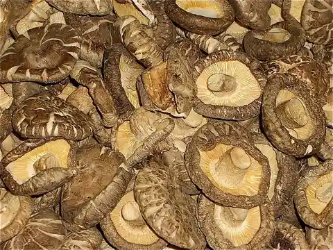 Whole dried shiitake mushroom caps