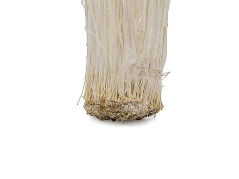 Fresh enoki mushroom strands
