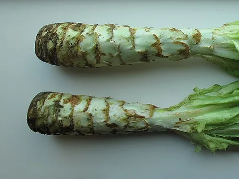Fresh stem lettuce celtuce
