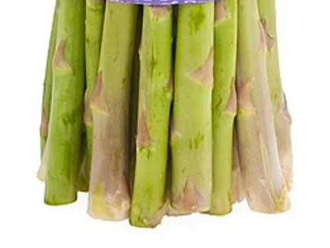 Fresh asparagus spears