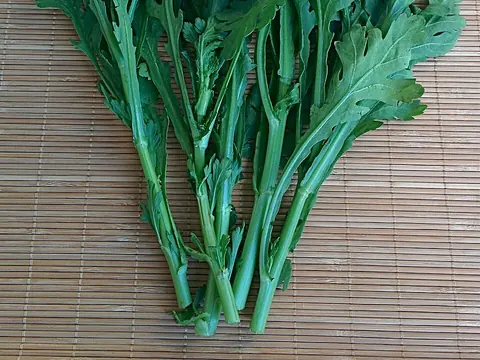 Fresh garland chrysanthemum greens