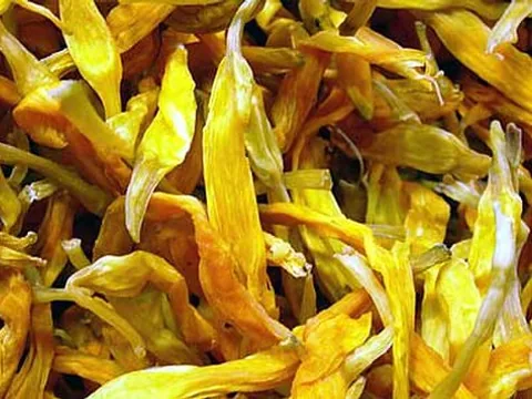 Dried daylily flower buds