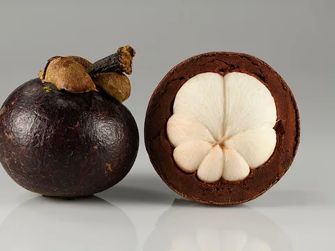 Fresh Mangosteen ingredient reference