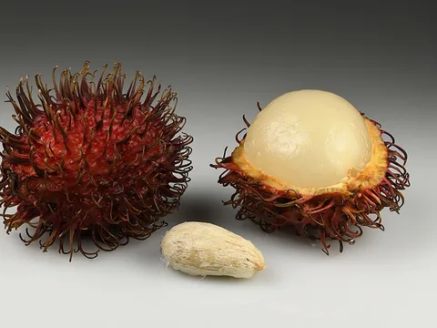 Fresh Rambutan ingredient reference