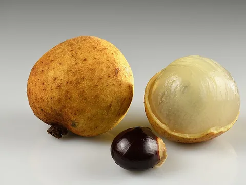 Fresh Longan ingredient reference
