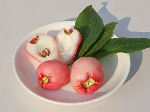Fresh Rose apple / wax apple ingredient reference