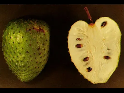 Fresh Soursop ingredient reference