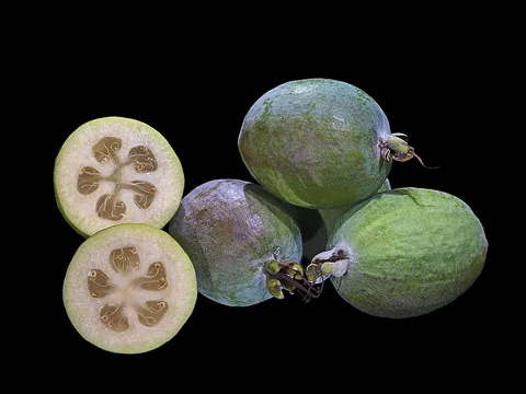 Fresh Feijoa ingredient reference