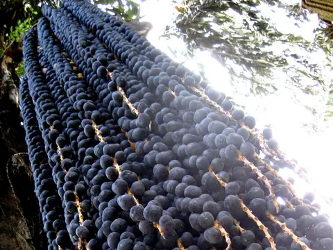 Fresh Acai ingredient reference