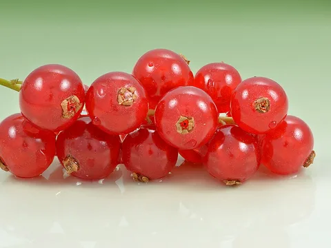 Fresh Redcurrant ingredient reference