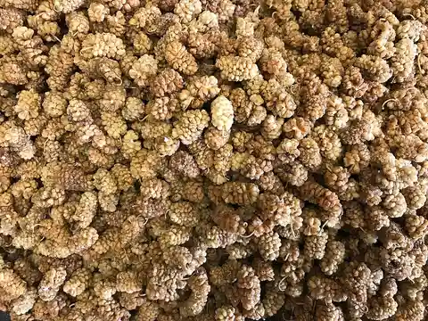 Dried white mulberries