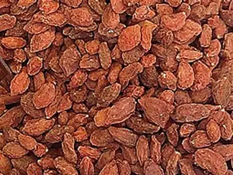 Dried Goji berries