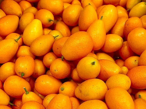 Fresh Kumquat ingredient reference