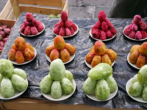 Fresh Prickly pear / cactus fruit ingredient reference