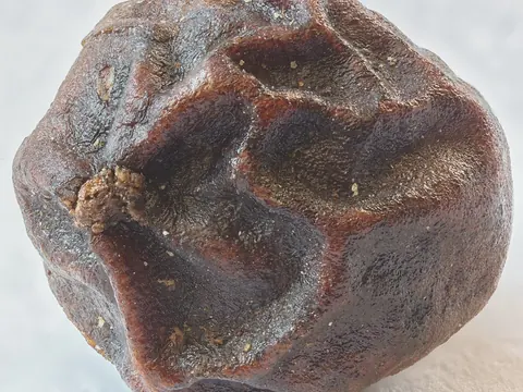 Close photograph of one dry black peppercorn