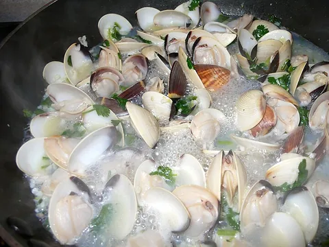 Clams simmering in white wine sauce with herbs