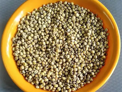 Sorghum grain ingredient reference