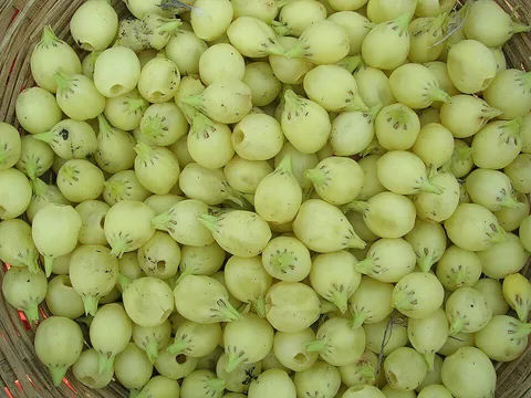 Mahua flowers ingredient reference