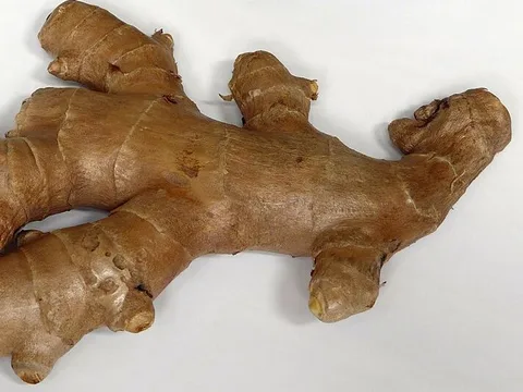 Ginger root ingredient reference