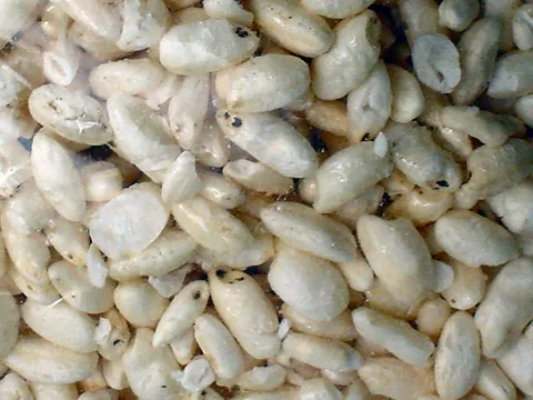 Puffed rice ingredient reference