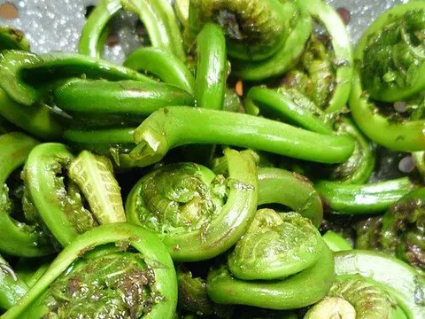 Washed fiddlehead ferns ingredient reference