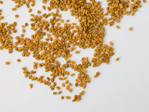 Fenugreek seeds ingredient reference
