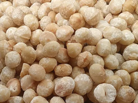Plain shelled macadamia kernels
