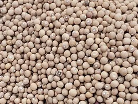 Dried tiger nut tubers