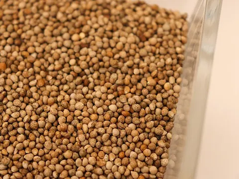 Whole culinary perilla seeds
