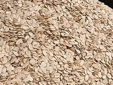 Shelled dried egusi melon seeds