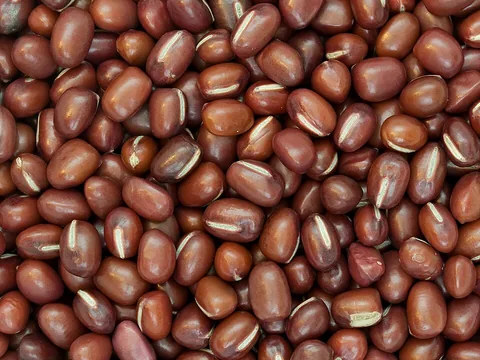 Dried adzuki beans with their pale central marks