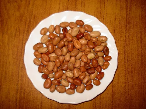 Whole dried brown fava beans on a plate