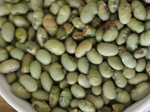 Dry-roasted shelled edamame beans