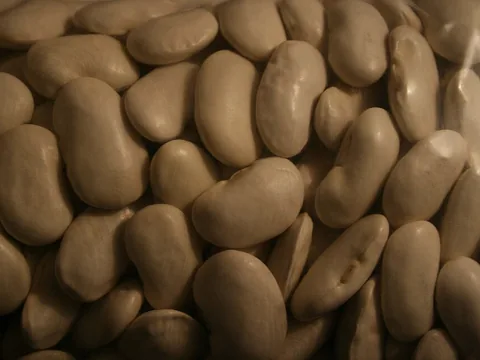 Dried white giant runner beans