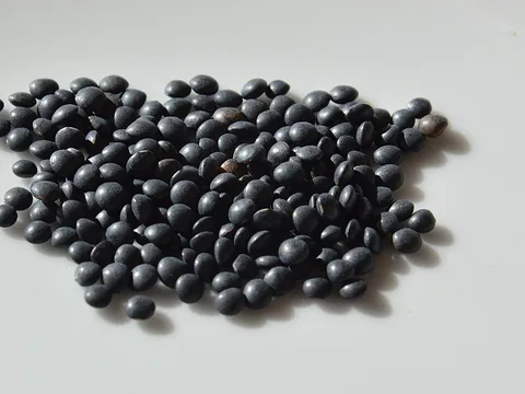 Whole dry black beluga lentils on a light surface