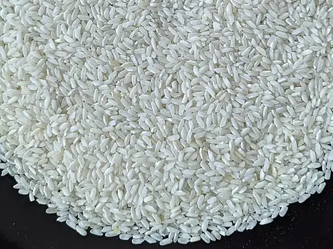 Plain uncooked white rice grains