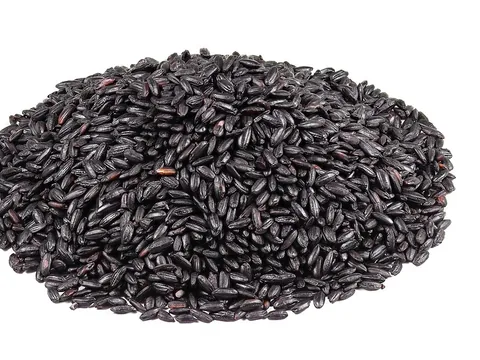 Whole uncooked black rice grains