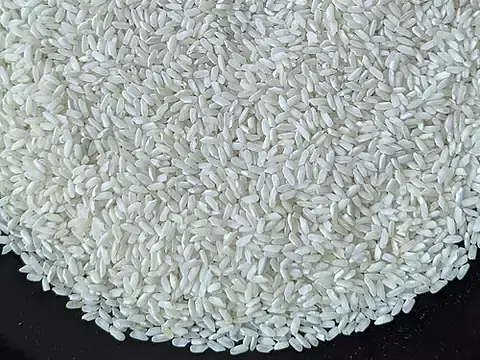 Short-to-medium white rice grains