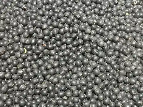 Whole dried black soybeans