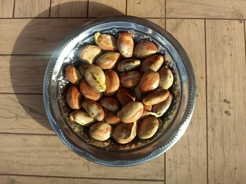 Whole jackfruit seeds in a bowl