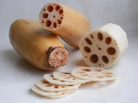 Lotus-root rhizome and slices