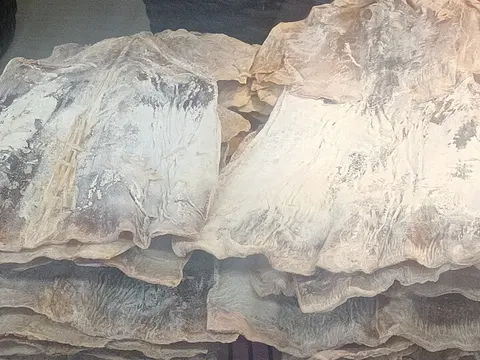 Dried squid flesh