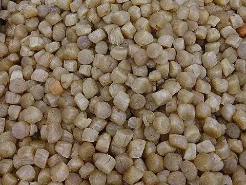Dried scallop muscles