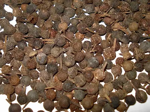 Whole cubeb pepper berries