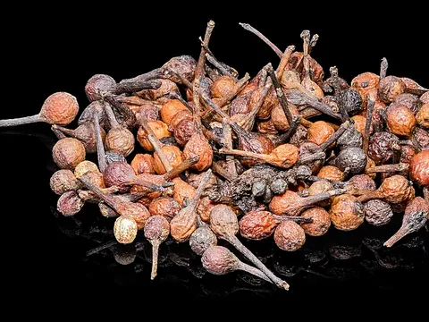 Whole dried voatsiperifery pepper berries